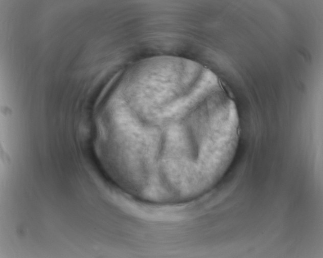 X0000090630040200708071255