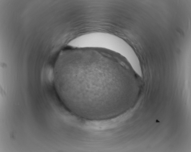 X0000090630041200708071255