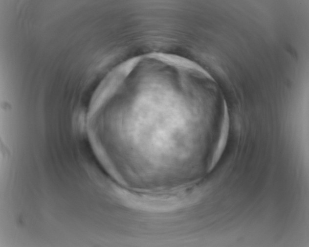 X0000090630042200708071255