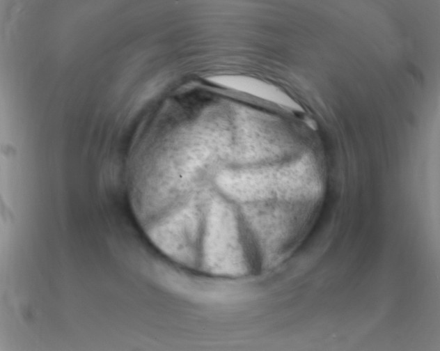 X0000090630044200708071255