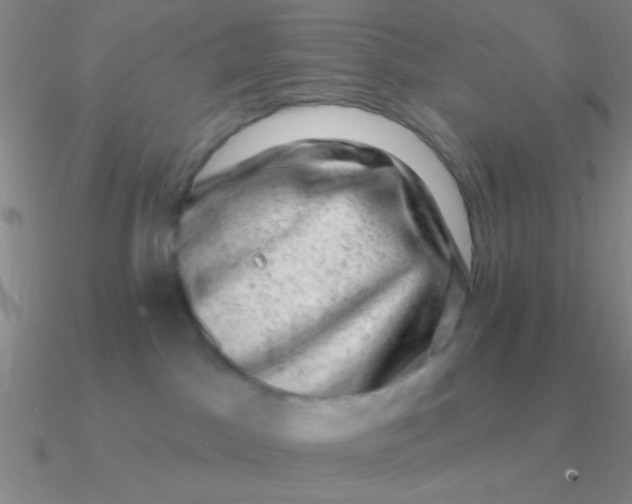 X0000090630045200708071255