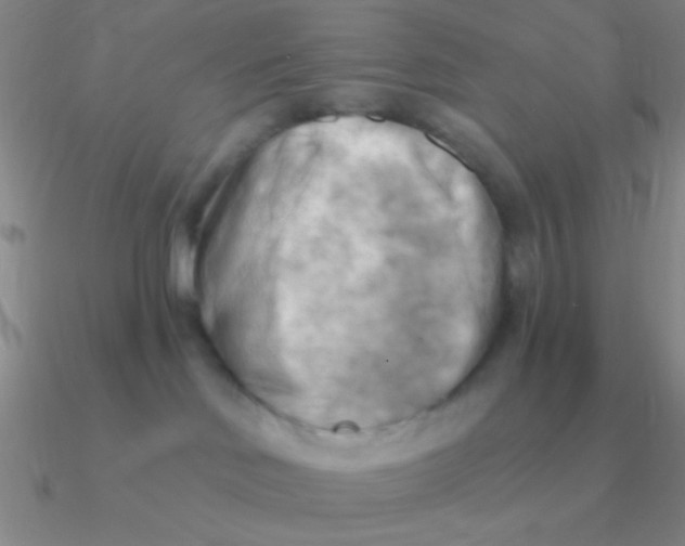 X0000090630046200708071255