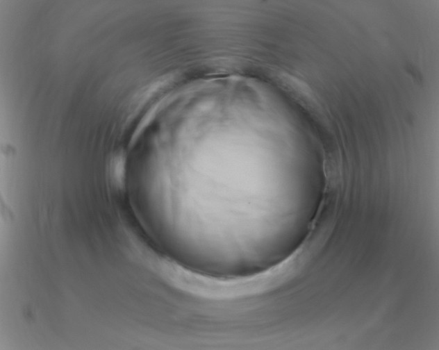 X0000090630047200708071255