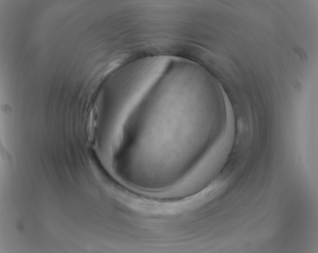 X0000090630048200708071254