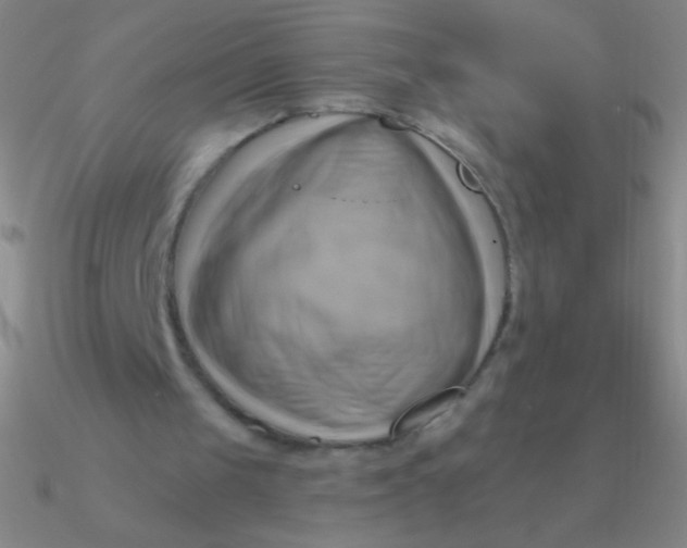 X0000090630049200708071254