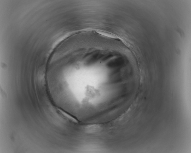 X0000090630050200708071254