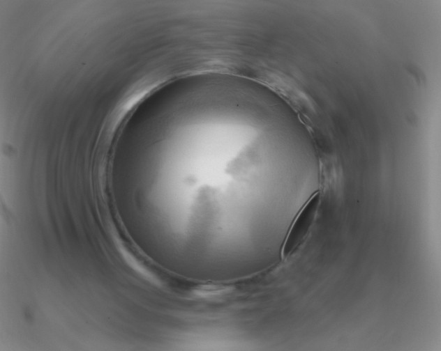 X0000090630051200708071254