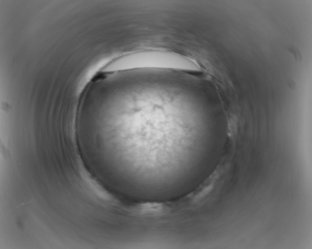 X0000090630052200708071254