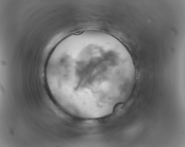 X0000090630053200708071254