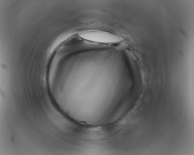 X0000090630054200708071254