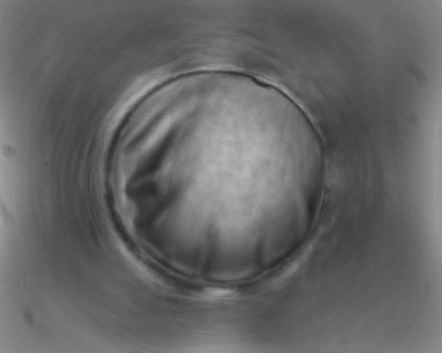 X0000090630055200708071254