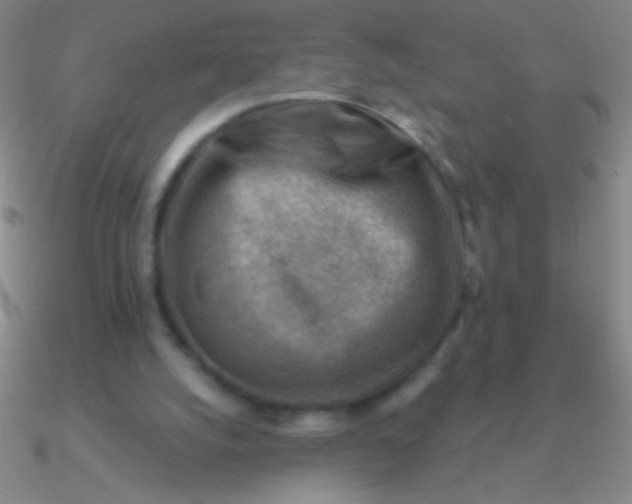 X0000090630056200708071254