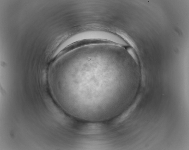 X0000090630057200708071254