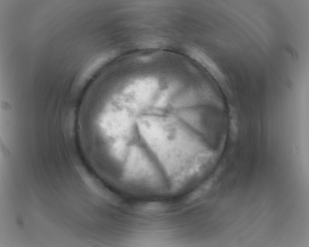 X0000090630058200708071254