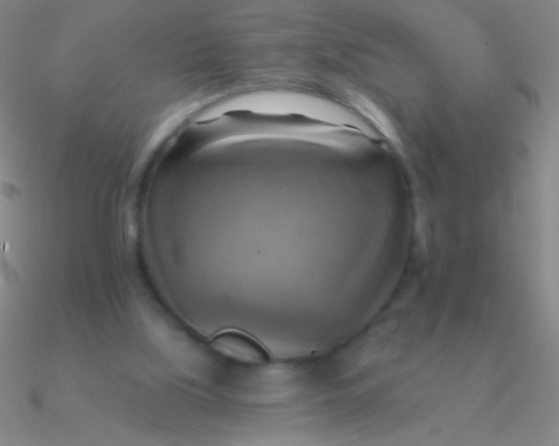 X0000090630059200708071254