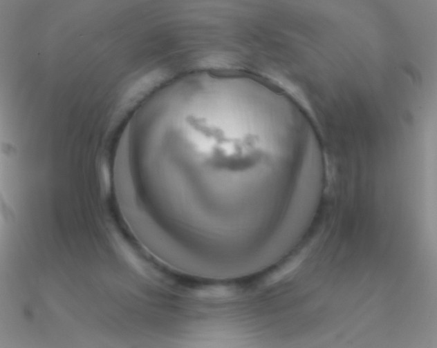 X0000090630061200708071254