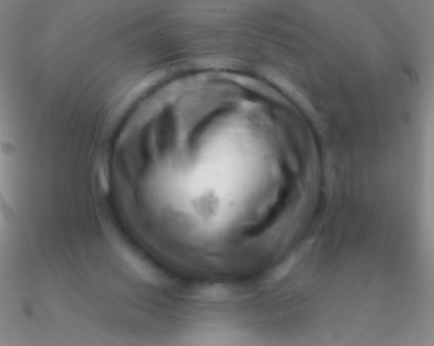 X0000090630062200708071254