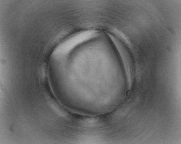 X0000090630065200708071254