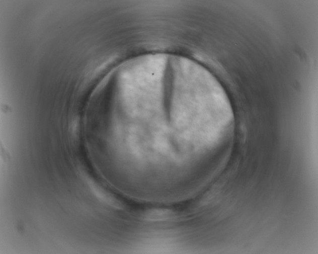 X0000090630066200708071254