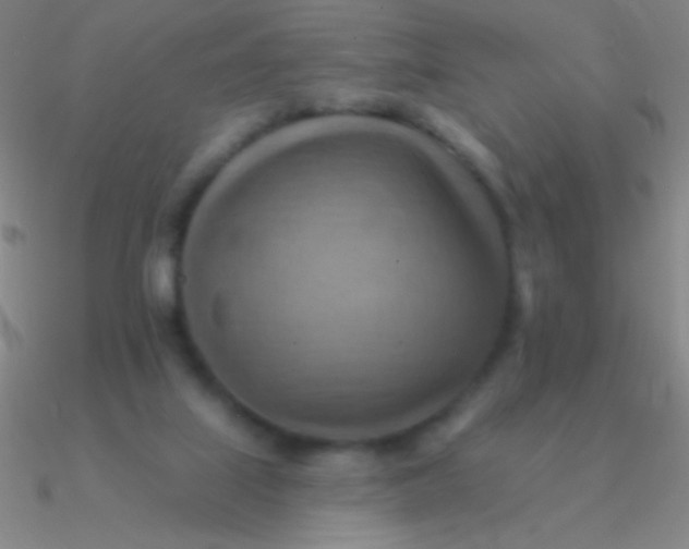 X0000090630067200708071254