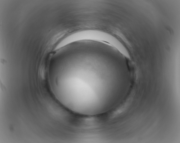 X0000090630068200708071254