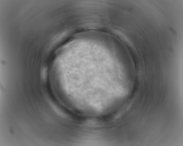 X0000090630070200708071254