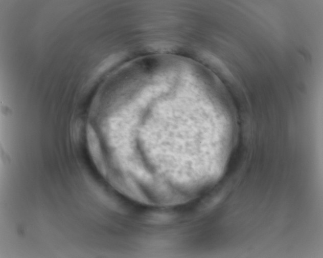 X0000090630071200708071254