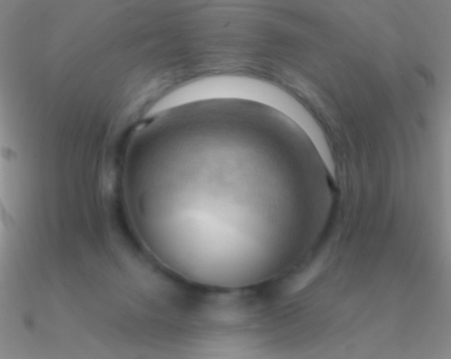 X0000090630072200708071254