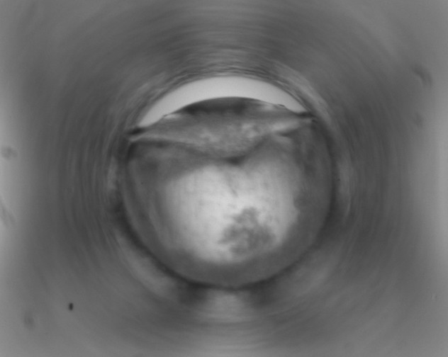 X0000090630073200708071254