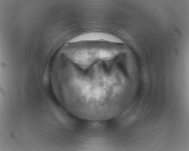 X0000090630074200708071254