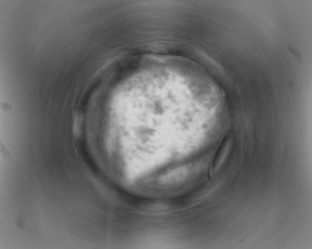 X0000090630075200708071254