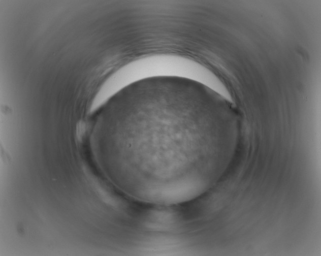 X0000090630076200708071254