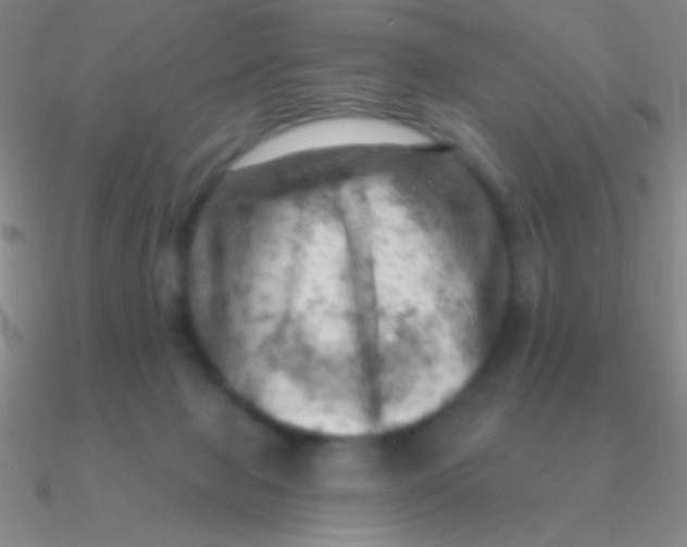 X0000090630077200708071254