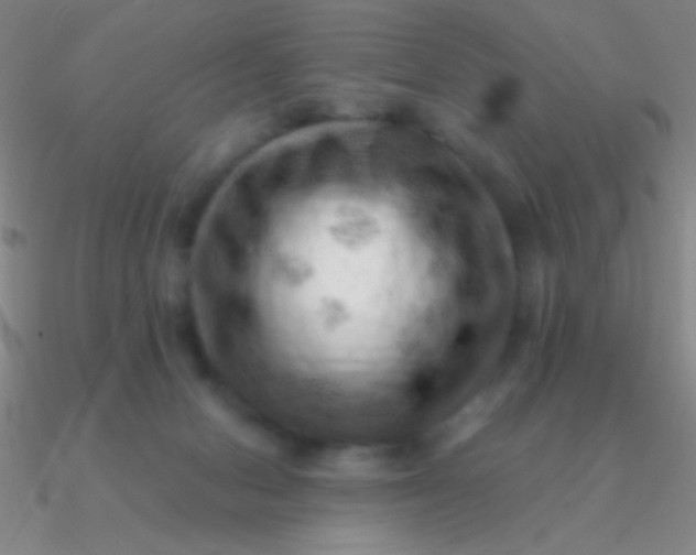 X0000090630078200708071254