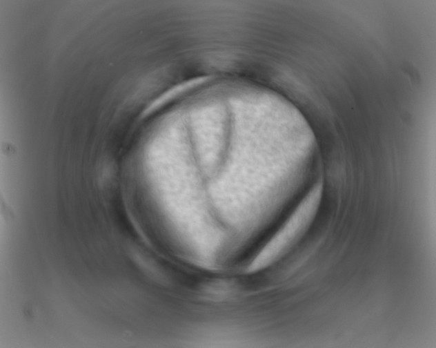 X0000090630079200708071254