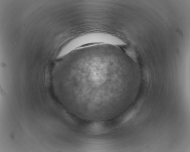 X0000090630080200708071254