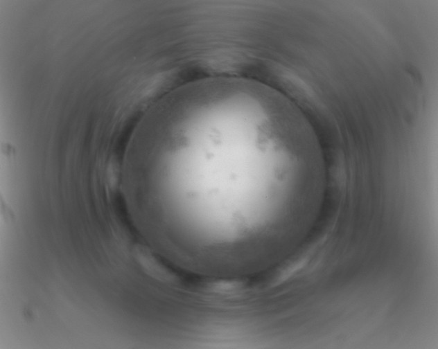 X0000090630081200708071254