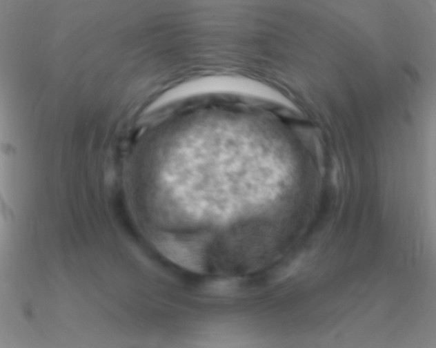 X0000090630084200708071254