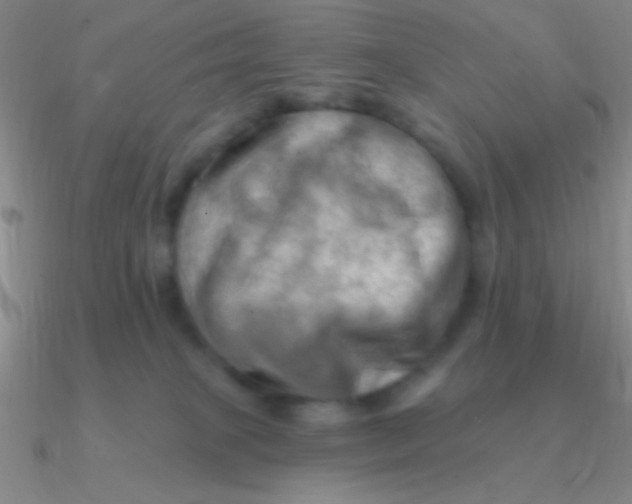 X0000090630085200708071254