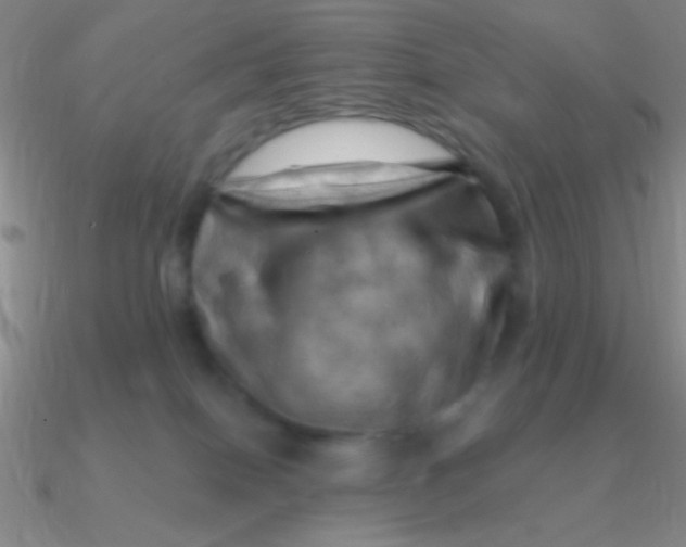 X0000090630086200708071254