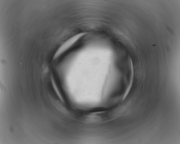 X0000090630087200708071254