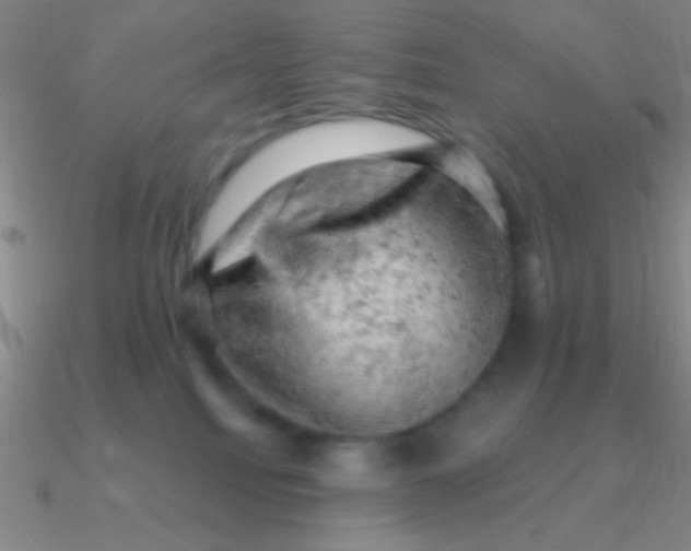 X0000090630088200708071254