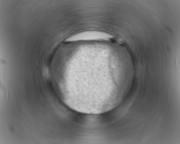 X0000090630089200708071254