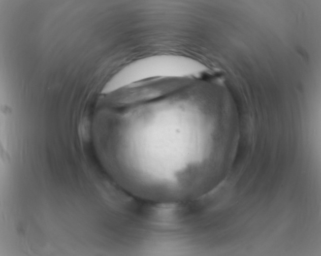 X0000090630090200708071254