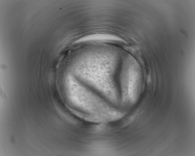 X0000090630092200708071254