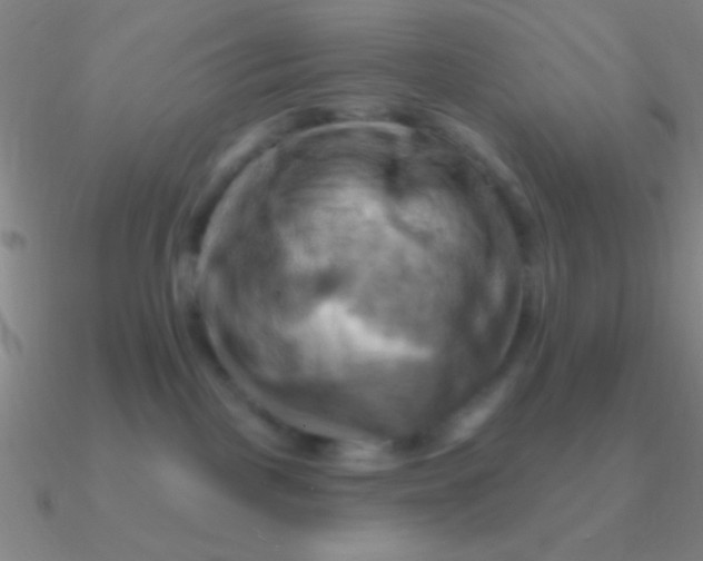 X0000090630093200708071254