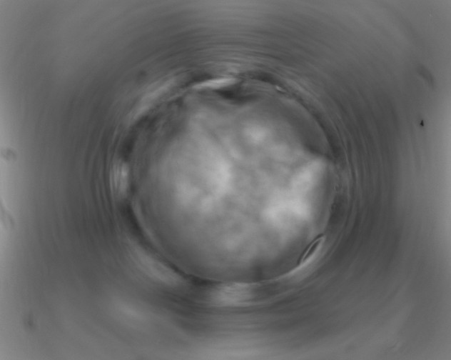 X0000090630094200708071254