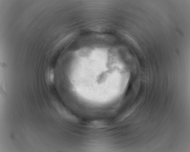 X0000090630095200708071254