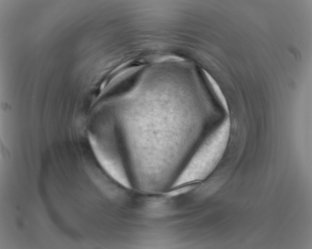 X0000090630096200708071254