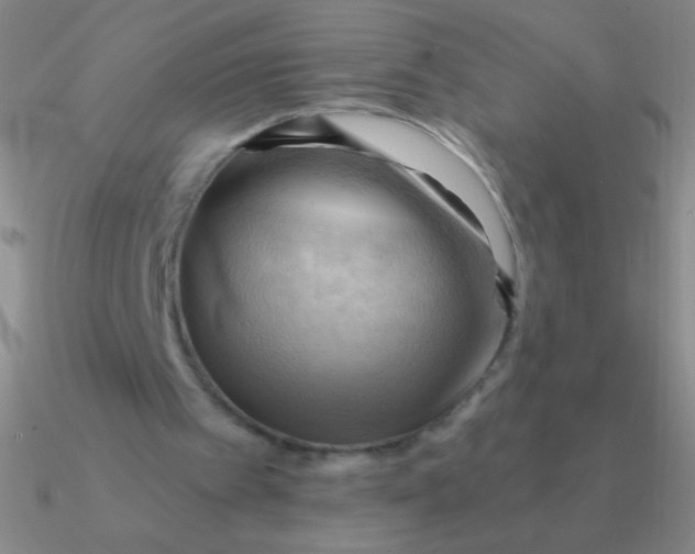 X0000090630097200708071254